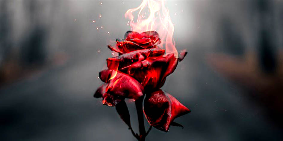 Предупреждение об ответственности